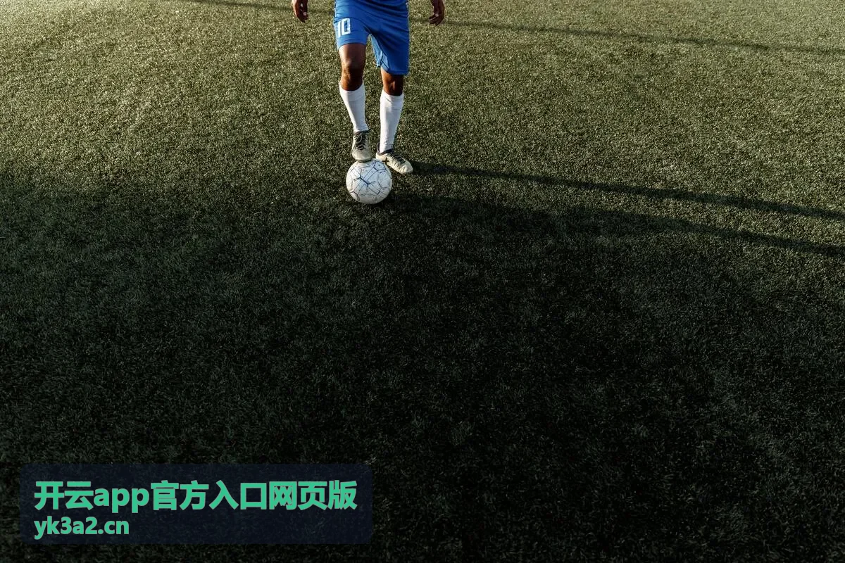 开云app官方入口网页版企业数字方案云端服务