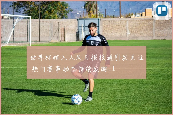 世界杯猫入人民日报报道引发关注 热门赛事动态持续发酵_1