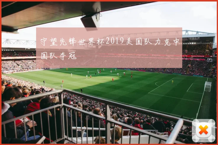 守望先锋世界杯2019美国队力克中国队夺冠
