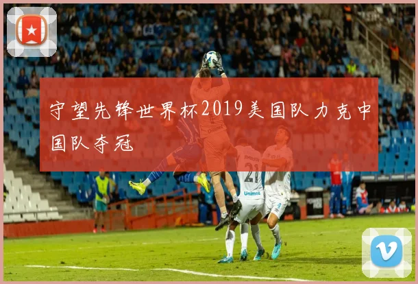 守望先锋世界杯2019美国队力克中国队夺冠