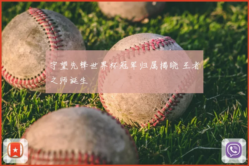 守望先锋世界杯冠军归属揭晓 王者之师诞生